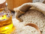 CÓ NÊN MUA MÁY ÉP DẦU THỰC VẬT KHÔNG