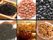 Cập nhật giá máy ép dầu thực vật gia đình, kinh doanh nhỏ