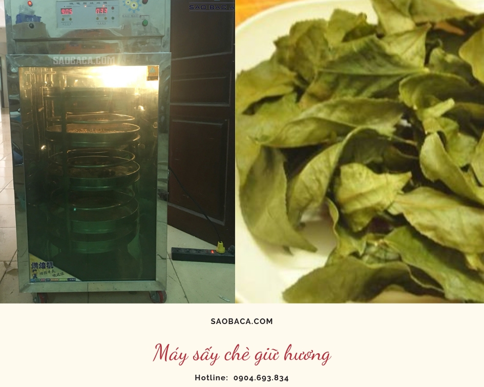 máy sấy chè giữ hương