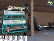 Dự án lắp đặt máy tách màu chè 2 tầng tại Phú Thọ