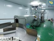 Dây Chuyền Máy Chiết Bột Và Viền Mí Lon Tự Động Lắp Tại Quốc Oai