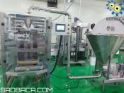 Dự án vận hành máy đóng túi dịch lỏng tại Hải Dương