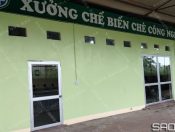 Dự án lắp máy chế biến chè tại xưởng công nghệ cao Phú Thọ